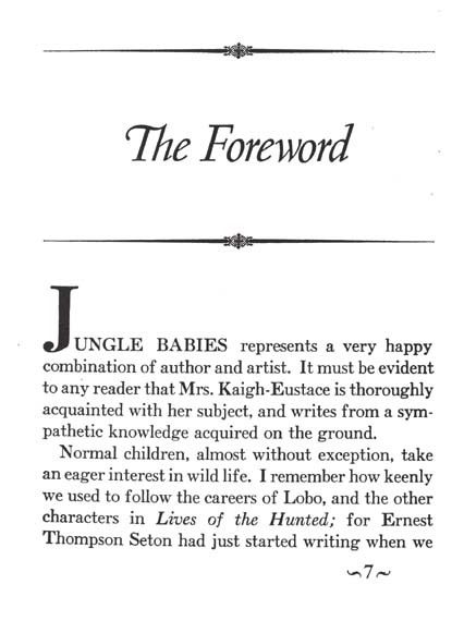 005_Jungle_Babies