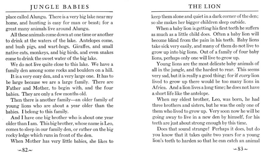 044_Jungle_Babies