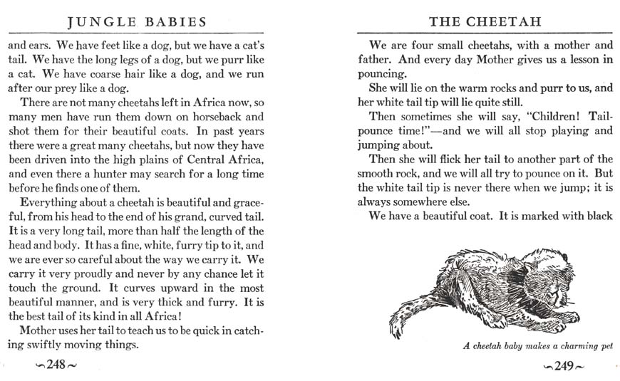 128_Jungle_Babies