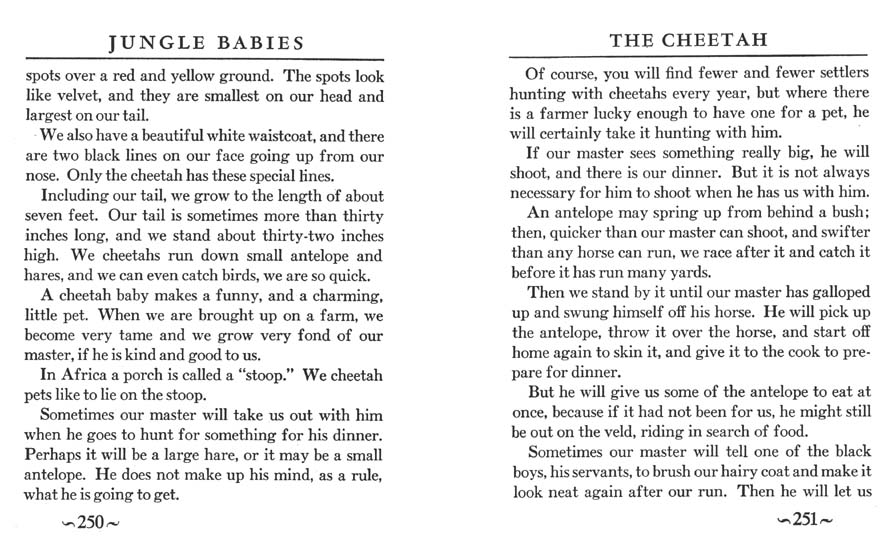 129_Jungle_Babies