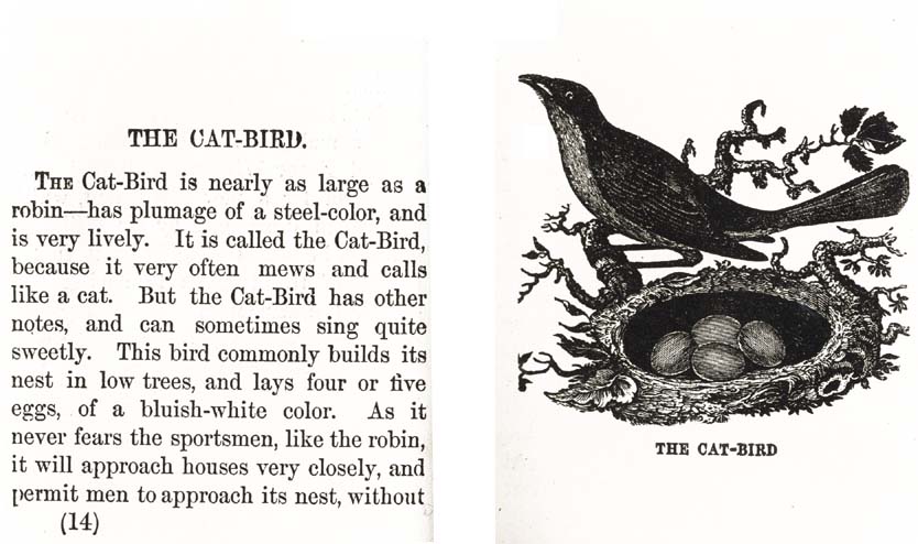 08_Katie_Story_Books_1