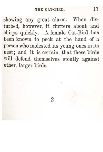 09_Katie_Story_Books_1