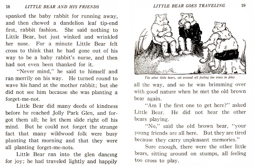 10_Little_Bear_and_His_Friends