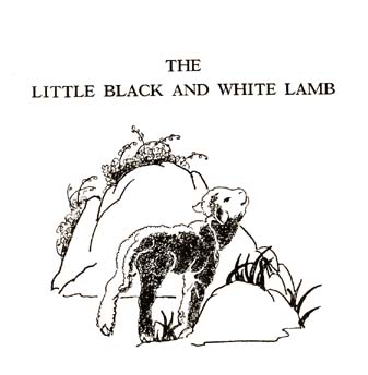 05_The_Little_Black_and_White_Lamb_