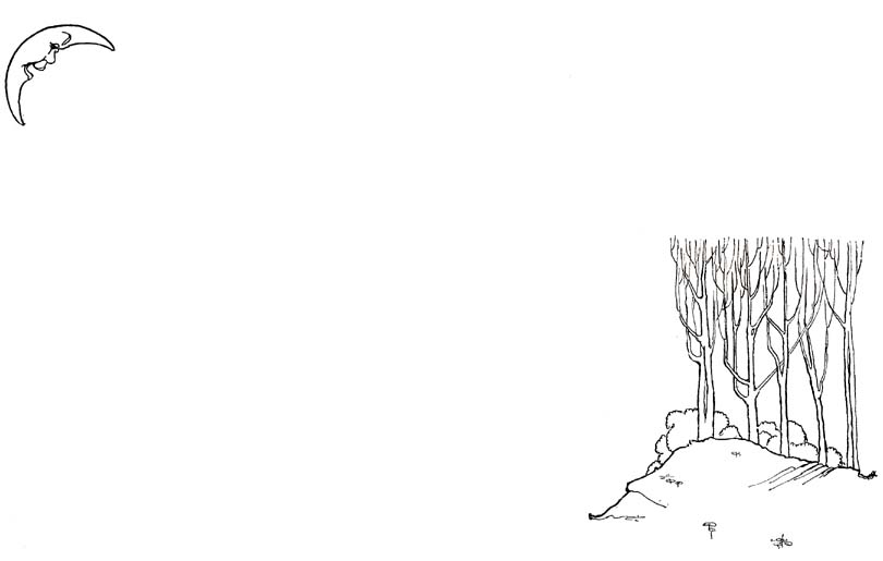 11_The_Little_Black_and_White_Lamb_