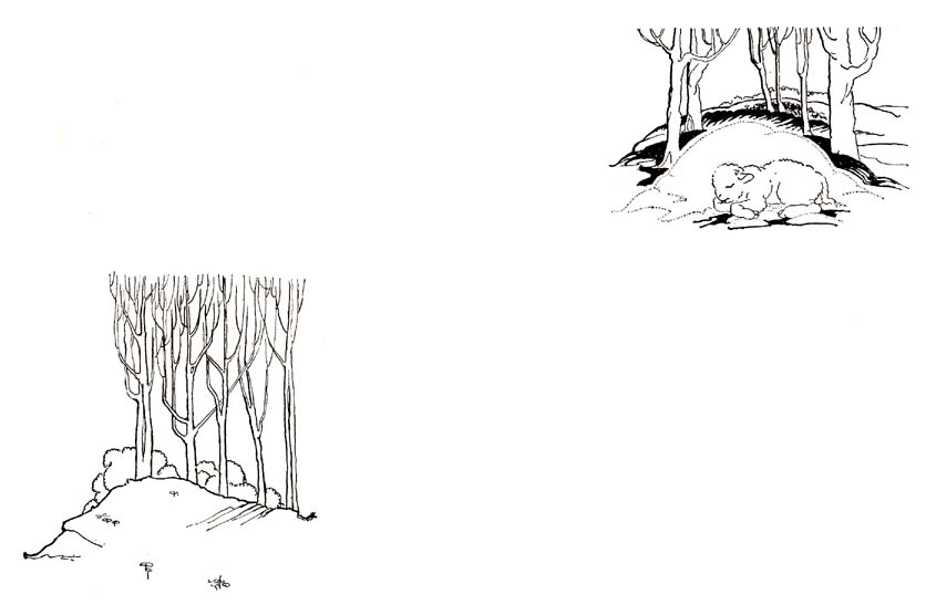 27_The_Little_Black_and_White_Lamb_