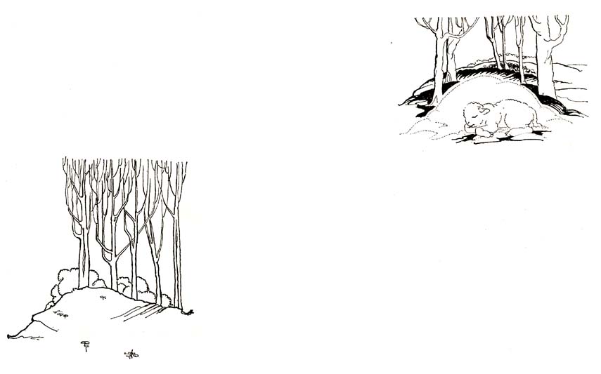 47_The_Little_Black_and_White_Lamb_