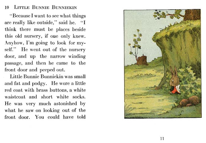 06_Little_Bunnie_Bunniekin
