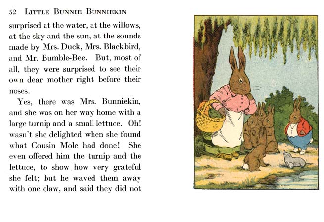 27_Little_Bunnie_Bunniekin
