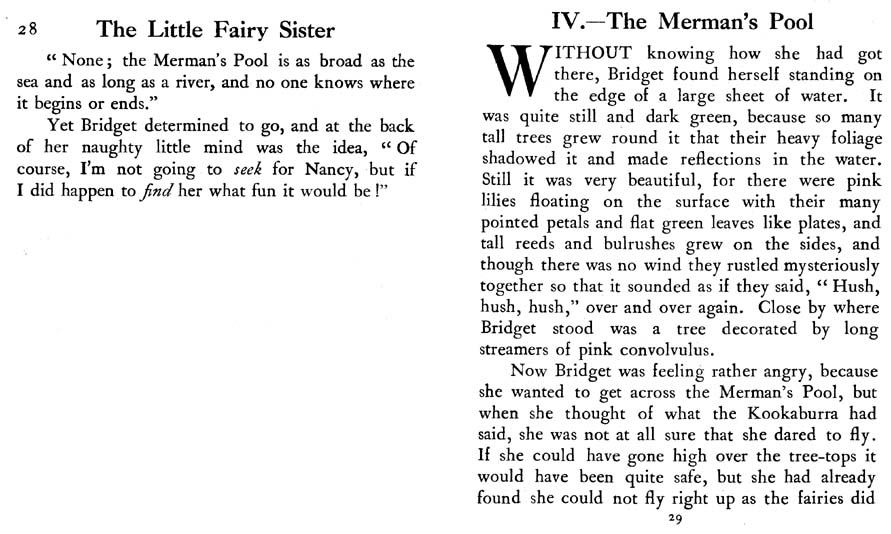 023_Little_Fairy_Sister