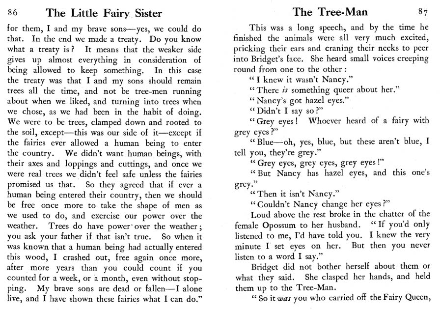 058_Little_Fairy_Sister