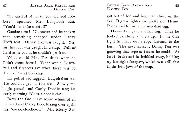23_Little_Jack_Rabbit_and_Danny_Fox