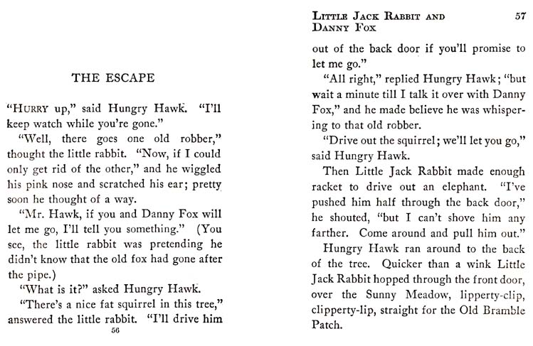 31_Little_Jack_Rabbit_and_Danny_Fox