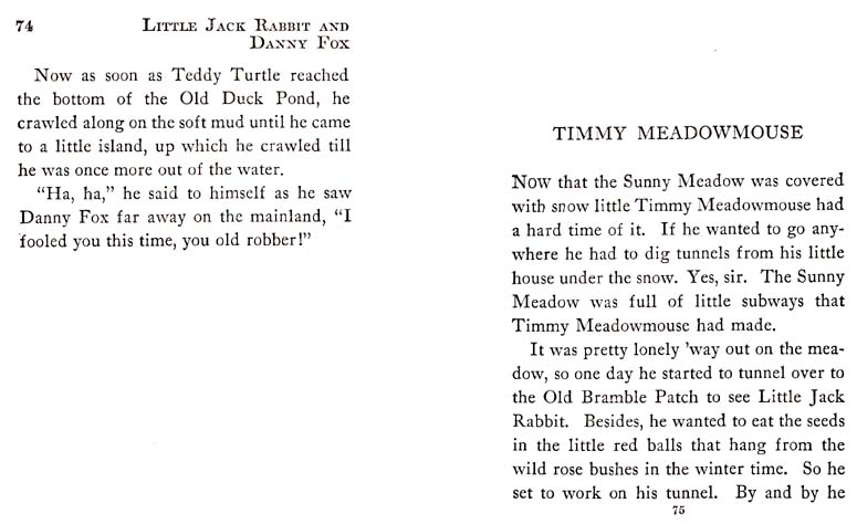 40_Little_Jack_Rabbit_and_Danny_Fox