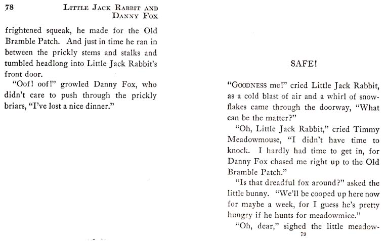 42_Little_Jack_Rabbit_and_Danny_Fox