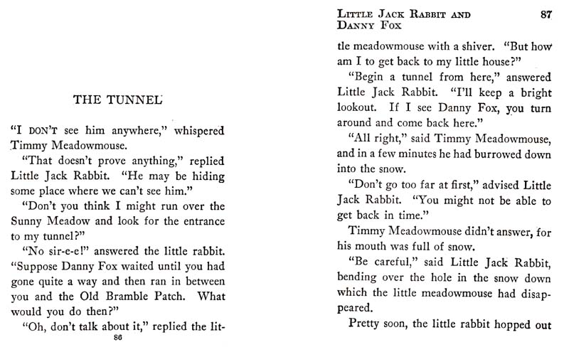 47_Little_Jack_Rabbit_and_Danny_Fox