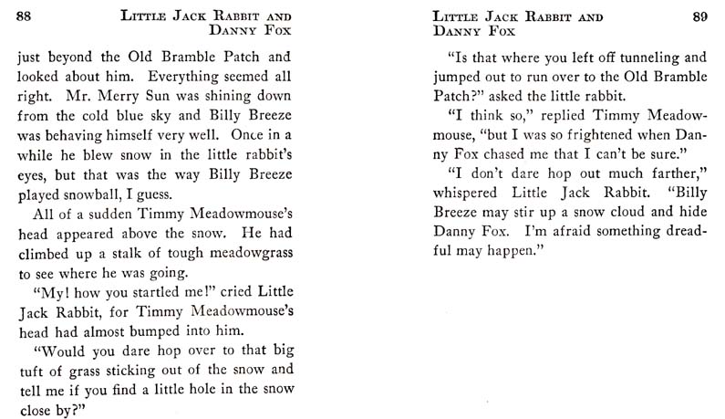 48_Little_Jack_Rabbit_and_Danny_Fox