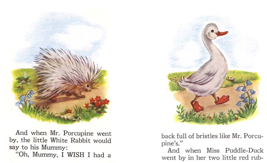 06_The_Little_Rabbit_Who_Wanted_Red_Wings