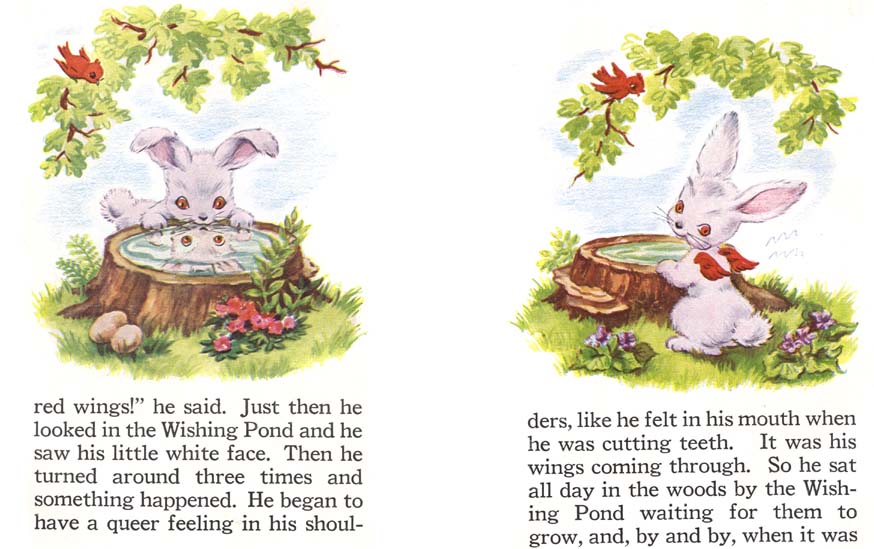 10_The_Little_Rabbit_Who_Wanted_Red_Wings