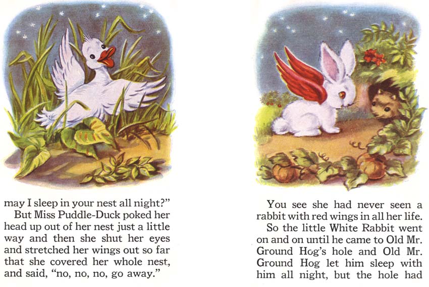 14_The_Little_Rabbit_Who_Wanted_Red_Wings