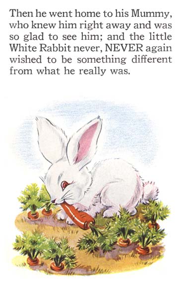 18_The_Little_Rabbit_Who_Wanted_Red_Wings