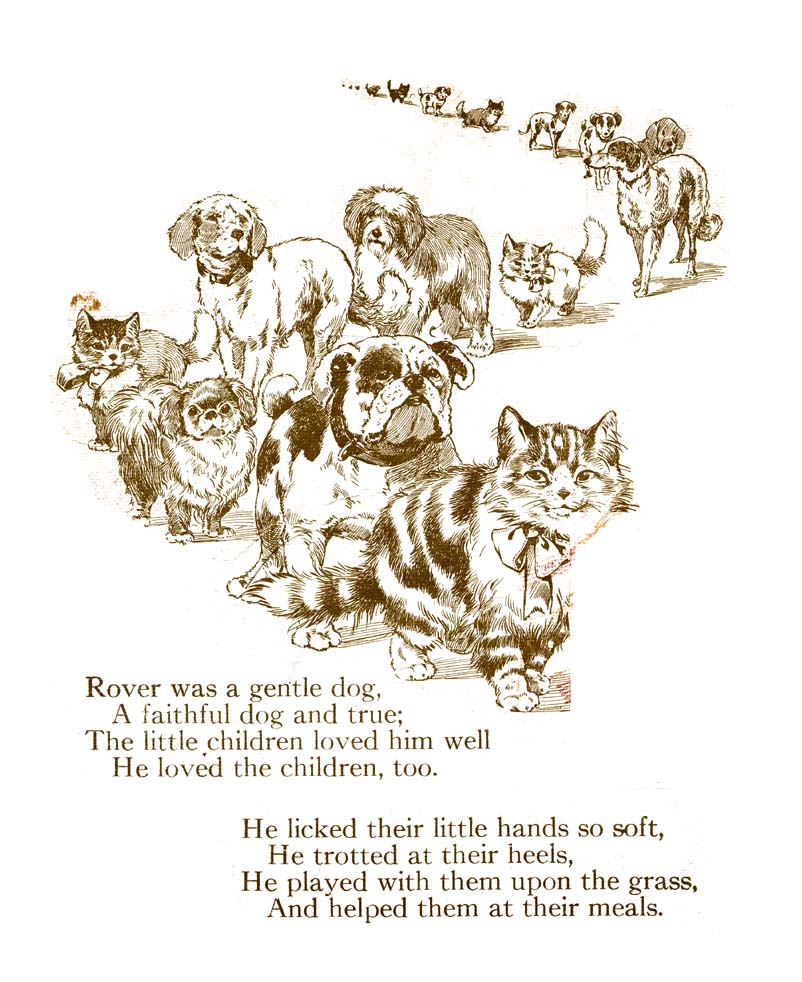 02_My_Book_of_Cats_and_Dogs