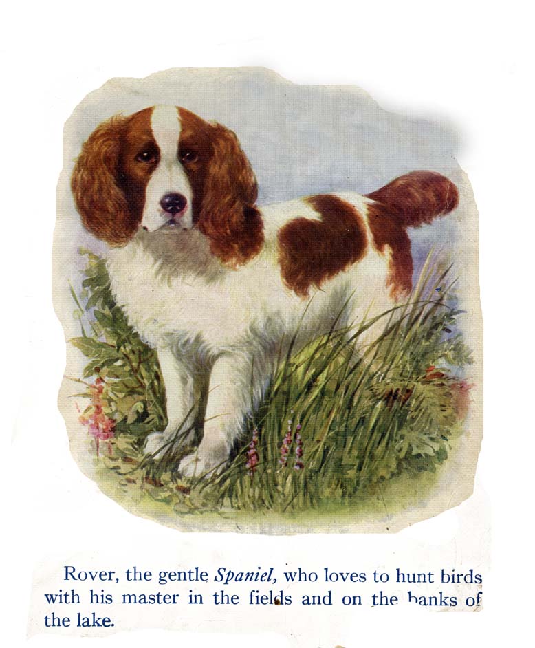 03_My_Book_of_Cats_and_Dogs