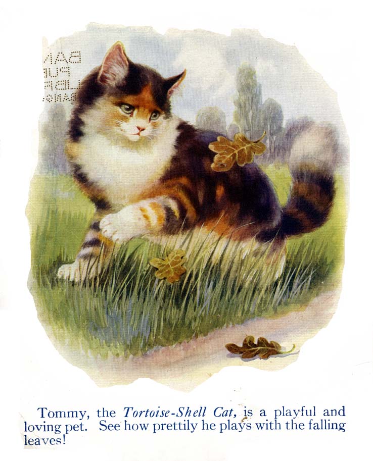 04_My_Book_of_Cats_and_Dogs