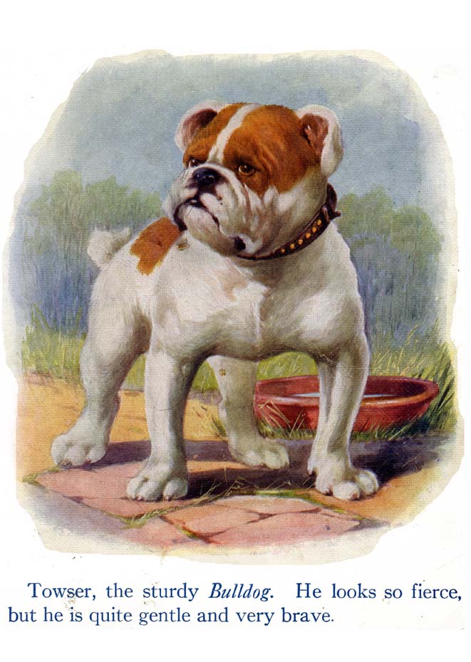 05_My_Book_of_Cats_and_Dogs