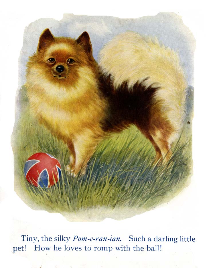 06_My_Book_of_Cats_and_Dogs