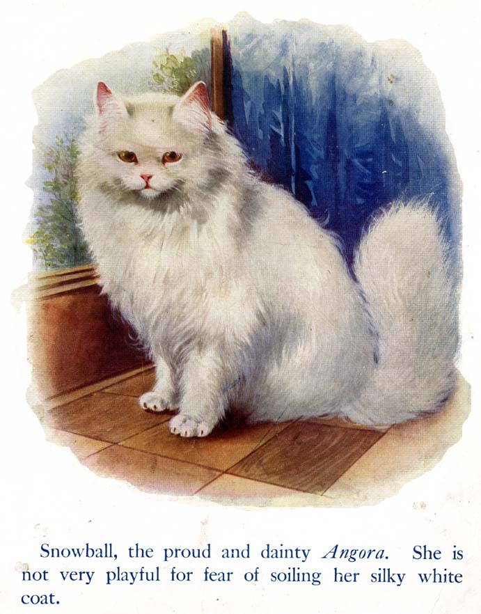 07_My_Book_of_Cats_and_Dogs