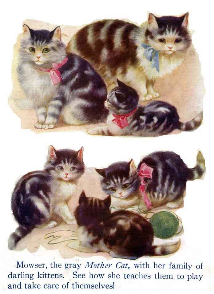 09_My_Book_of_Cats_and_Dogs