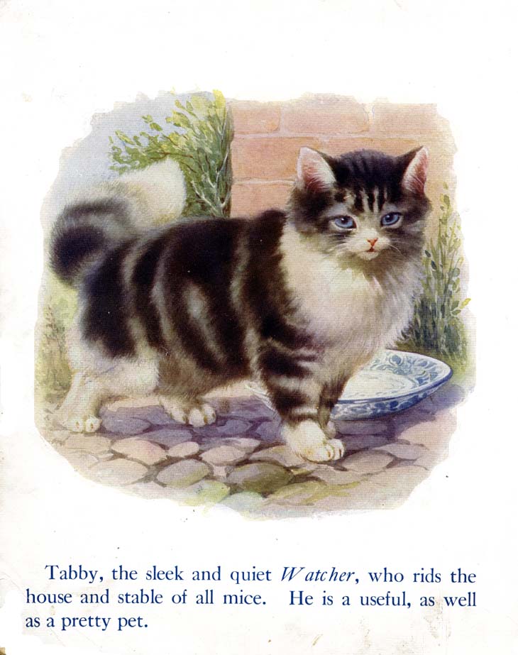 10_My_Book_of_Cats_and_Dogs