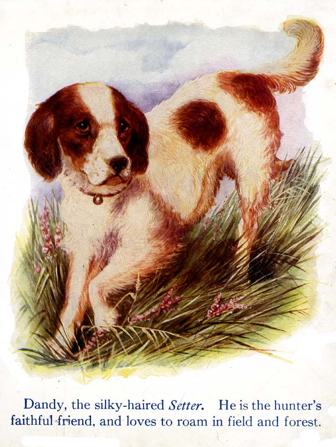 11_My_Book_of_Cats_and_Dogs