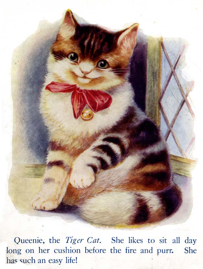 12_My_Book_of_Cats_and_Dogs