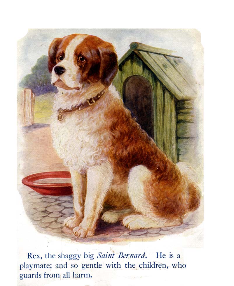 13_My_Book_of_Cats_and_Dogs