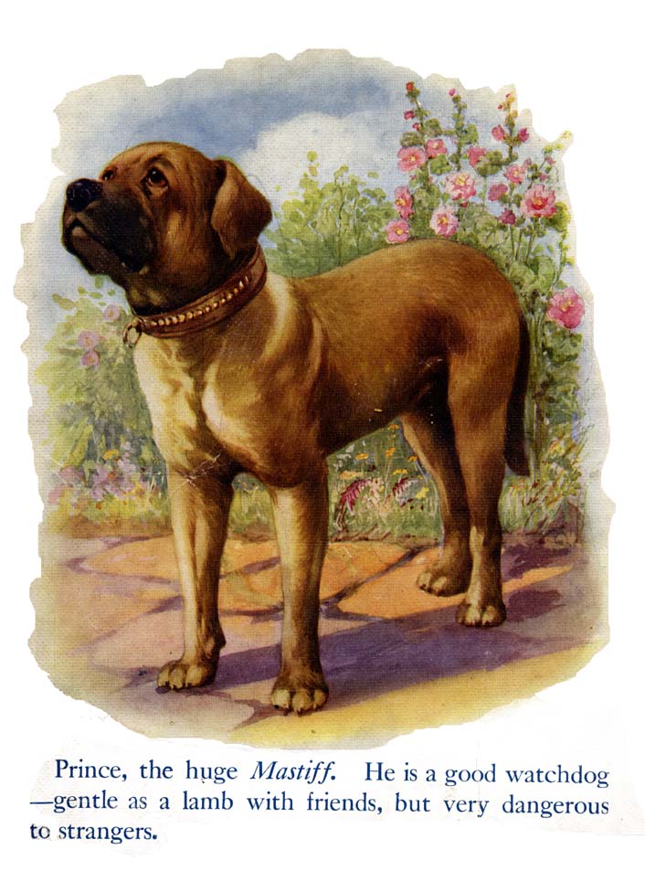 14_My_Book_of_Cats_and_Dogs