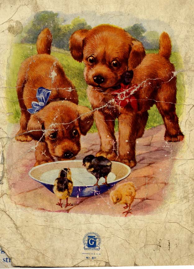 15_My_Book_of_Cats_and_Dogs