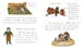04_My_Very_First_Little_Reading_Book