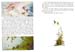 042_My_Very_Own_Fairy_Stories
