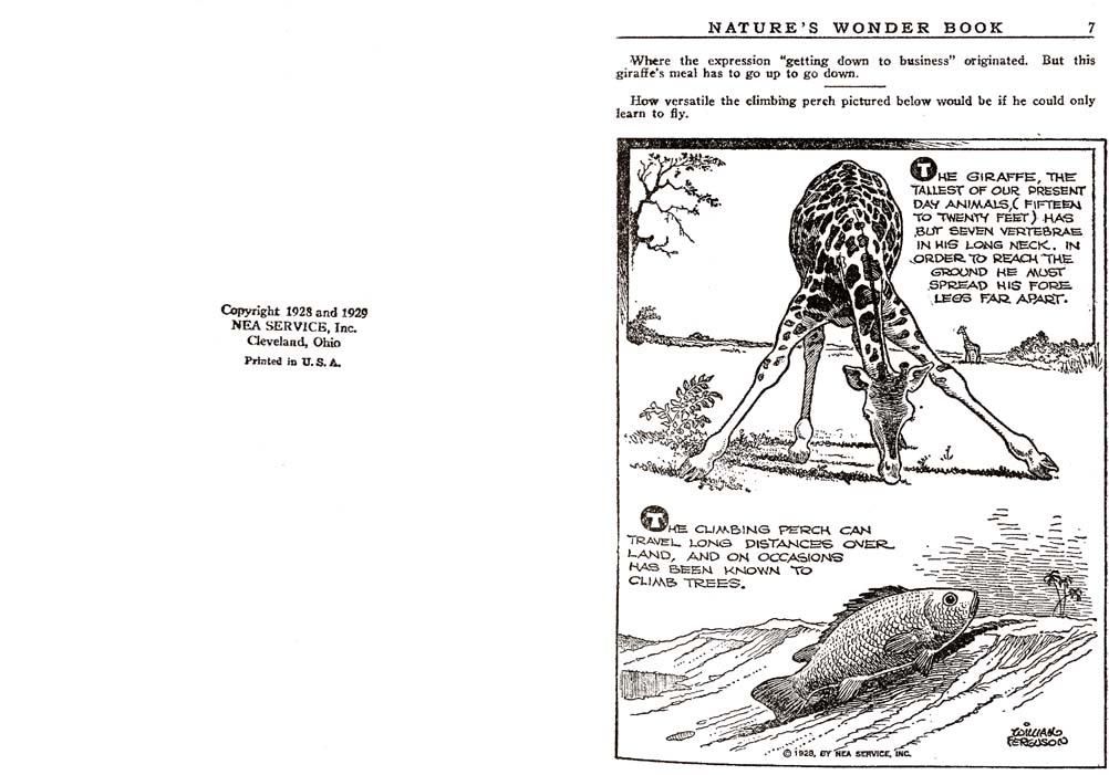 03_Natures_Wonder_Book