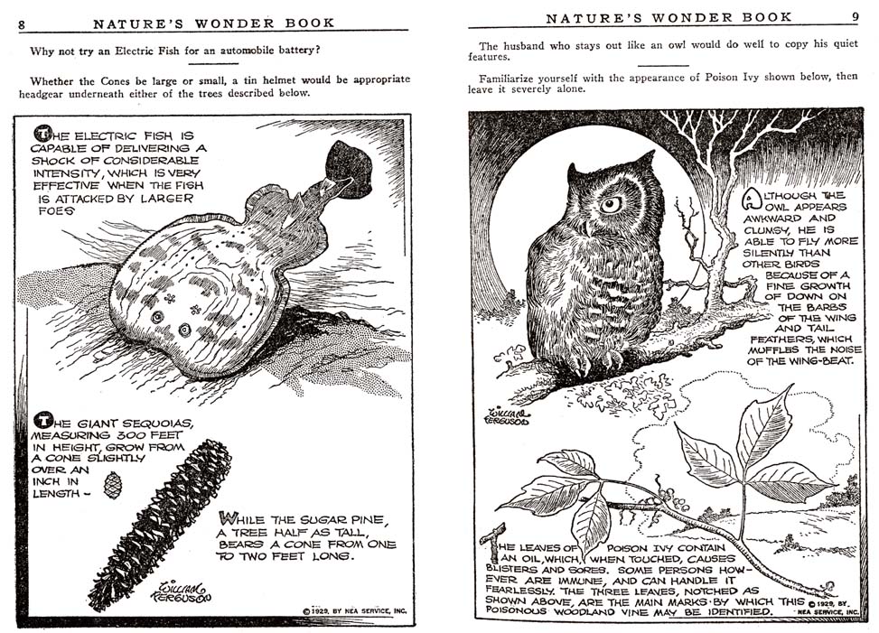 04_Natures_Wonder_Book