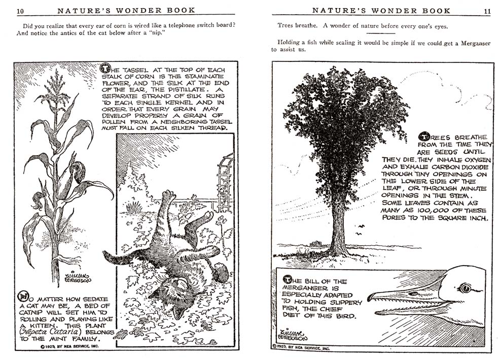 05_Natures_Wonder_Book