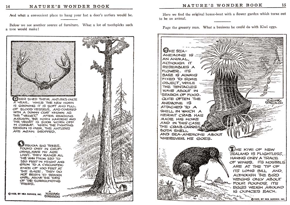 07_Natures_Wonder_Book