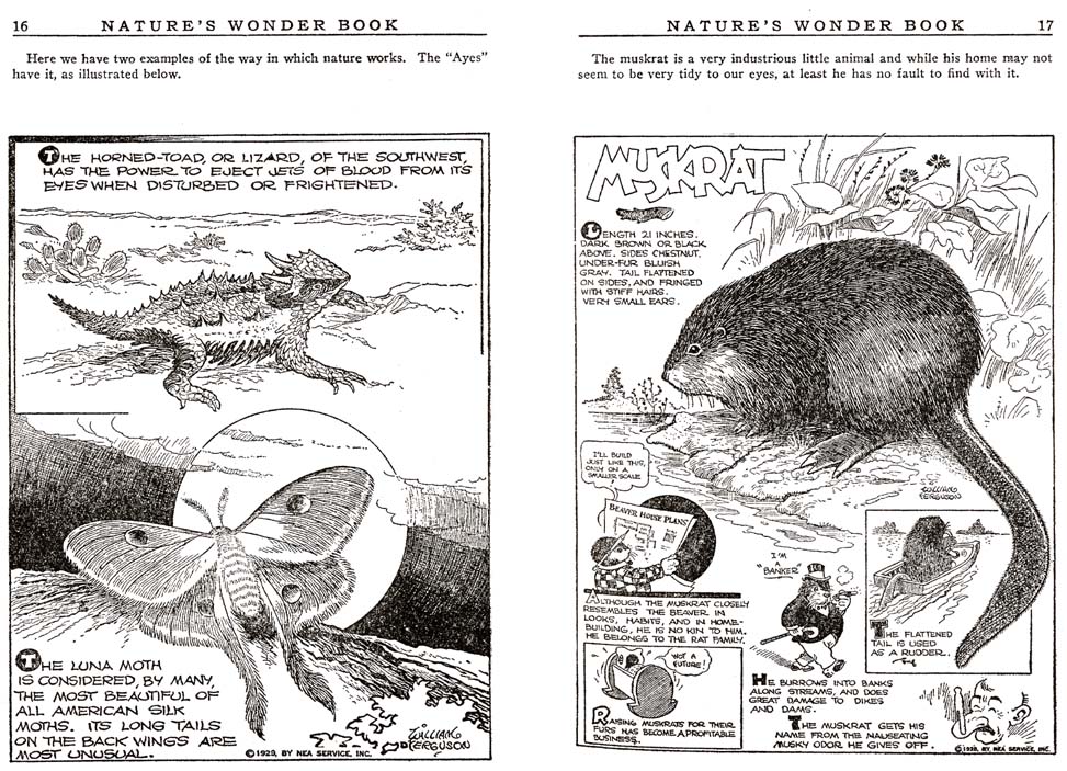 08_Natures_Wonder_Book