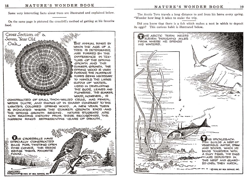 09_Natures_Wonder_Book