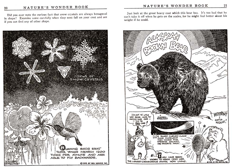 10_Natures_Wonder_Book