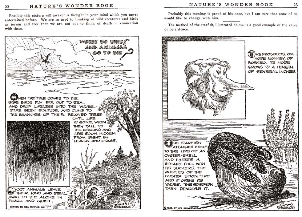 11_Natures_Wonder_Book