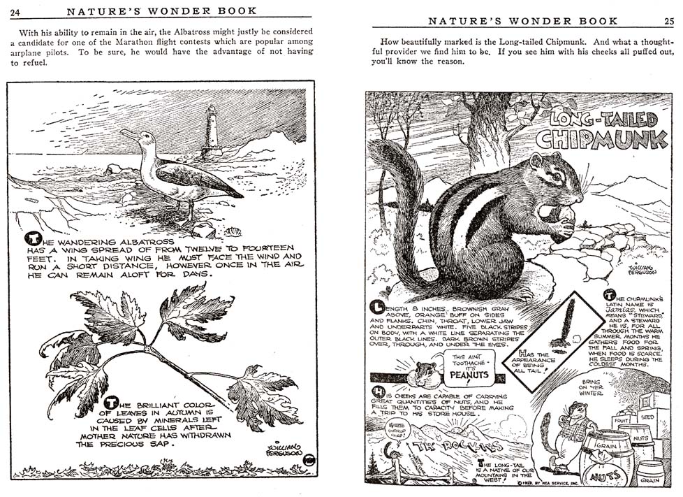 12_Natures_Wonder_Book