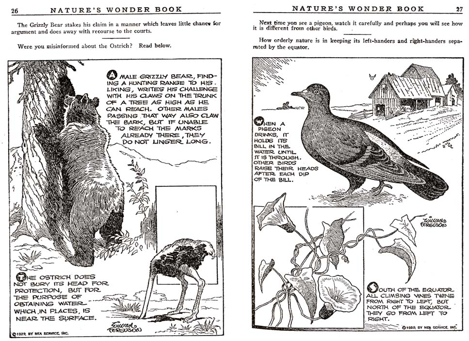 13_Natures_Wonder_Book